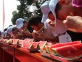 吃瓜大赛